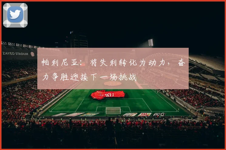 帕利尼亚：将失利转化为动力，奋力争胜迎接下一场挑战
